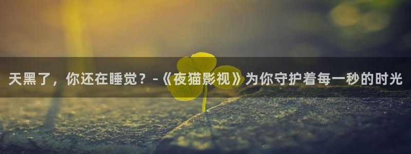 飘雪影视在线观看完整版电影：天黑了，你还在睡觉？-《夜猫影视》为你守护着每一秒的时光