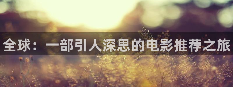 飘雪影院网：全球：一部引人深思的电影推荐之旅