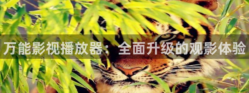 飘雪影院在线观看免费版：万能影视播放器：全面升级的观影体验