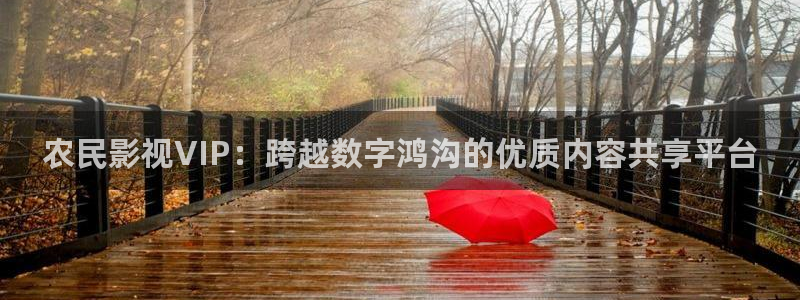 飘雪影院在线观看全集：农民影视VIP：跨越数字鸿沟的优质内容共享平台