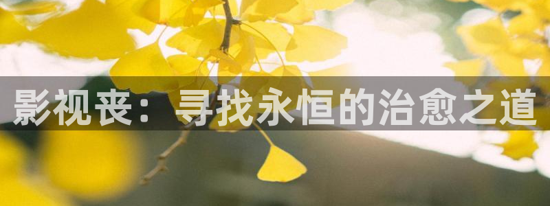 飘雪影院免费观看电视剧电影：影视丧：寻找永恒的治愈之道