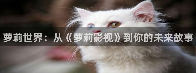 飘雪影院电影手机在线观看