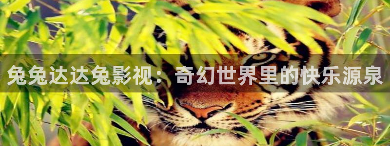 飘雪影院在线观看免费播放最新电影：兔兔达达兔影视：奇幻世界里的快乐源泉